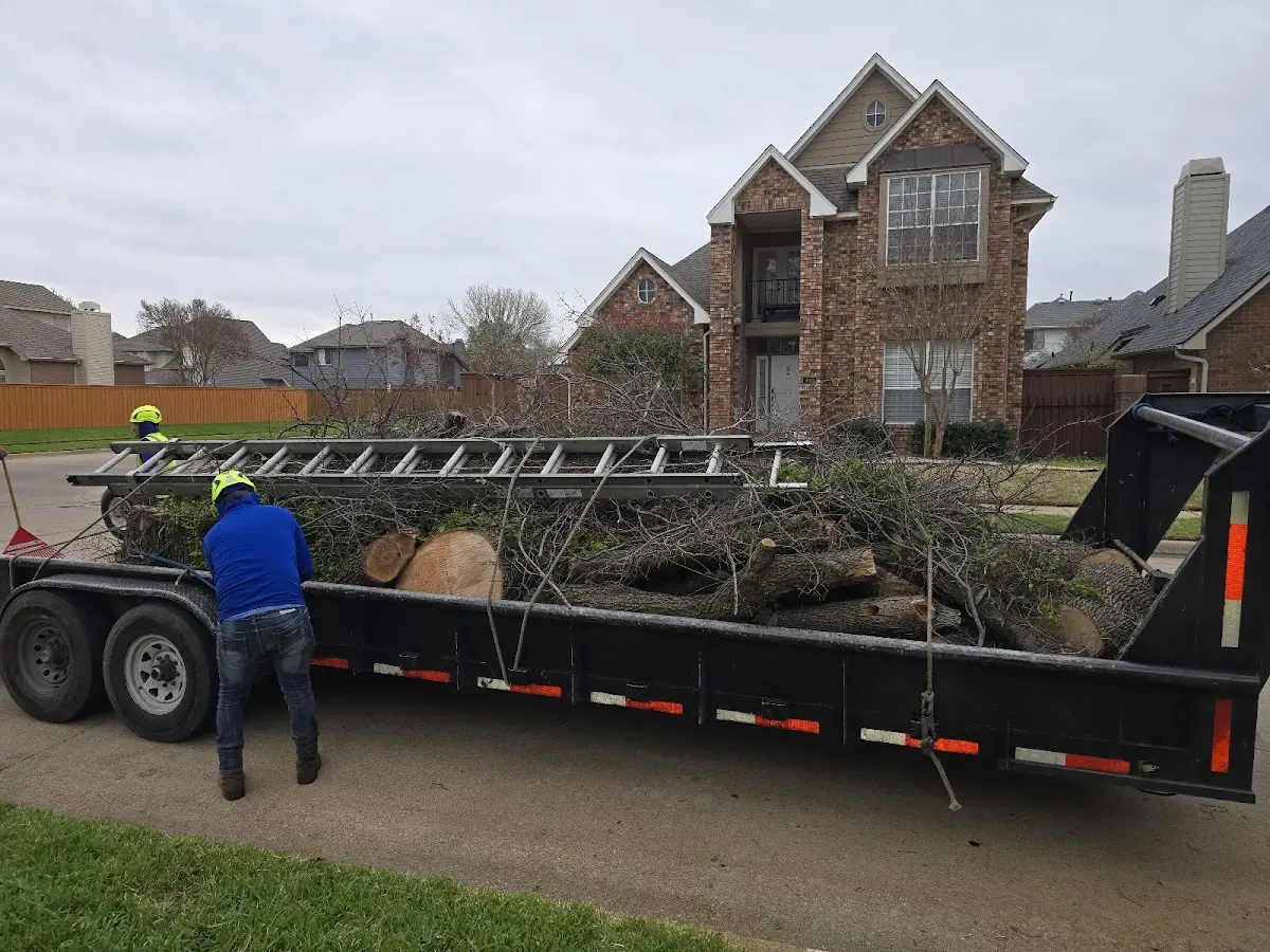 Expert Tree Removal with proper safety equipment in El Reno